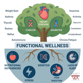 Functional Wellness
