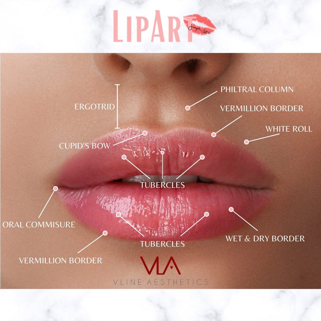 Lip Art - Skin Perfect Brothers Powered by VLA