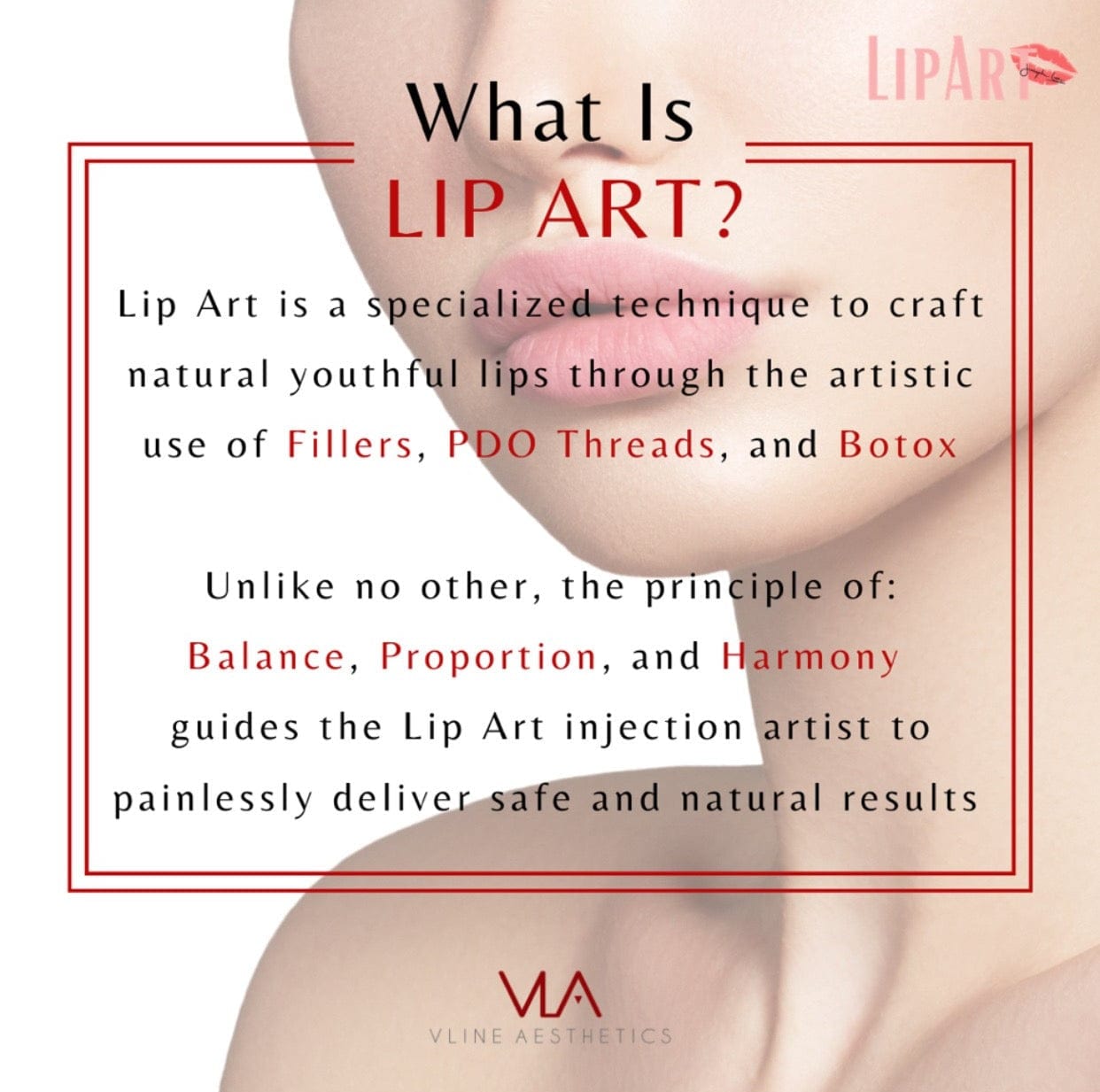 Lip Art - Skin Perfect Brothers Powered by VLA