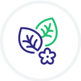Alt Image