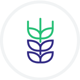 Alt Image